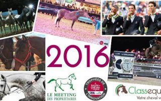 retrospective-2016-equitation