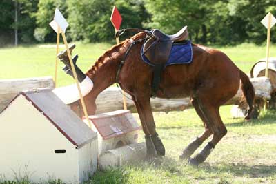obstacle cheval